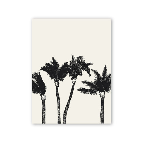 Palm Trees
